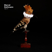 Fabric (CD Series) - Fabric 77: Marcel Dettmann (Feat.)