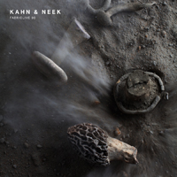 Fabric (CD Series) - FabricLive.90: Kahn & Neek
