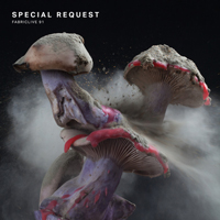 Fabric (CD Series) - FabricLive 91: Special Request