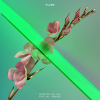 Flume - Never Be Like You (Feat. Kai) (Remixes) (EP)