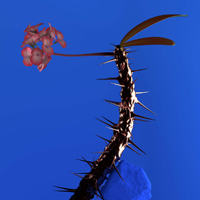 Flume - Skin Companion EP II