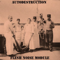 Autodestruction - Flesh Noise Module