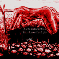 Autodestruction - Autodestruction & Blockhead's Guts (Split)