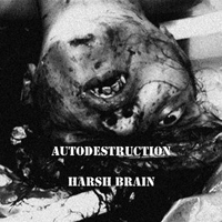Autodestruction - Harsh Brain