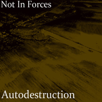 Autodestruction - Not In Forces