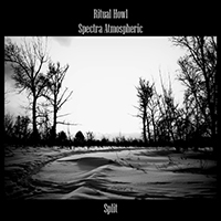 Autodestruction - Spectra Atmospheric / Ritual Howl (Split)