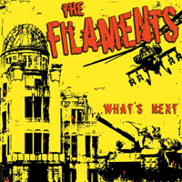 Filaments - What's Next