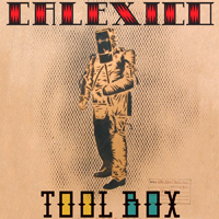 Calexico - Road Atlas 1998-2011 (9 LPs Box-Set) [LP 6: Tool Box, 2007]
