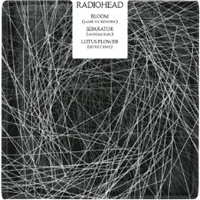 Radiohead - The King Of Limbs Remixes Part 7: Bloom (Jamie xx RMX) / Seperator (Amstam RMX) / Lotus Flower (SBTRKT RMX) (Single)