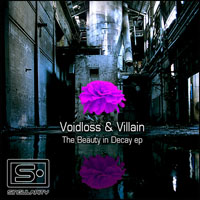 Voidloss - The Beauty In Decay