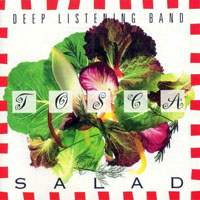 Deep Listening Band - Tosca Salad