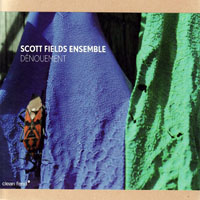 Fields, Scott - Scott Fields Ensemble - Denouement
