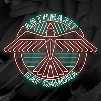 RAF Camora - Anthrazit (Limitierte Fanbox Edition, CD 2)