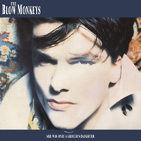 Blow Monkeys - She Was Only A Grocer's Daughter