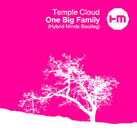 Hybrid Minds - One Big Family (Temple Cloud - Hybrid Minds Bootleg)