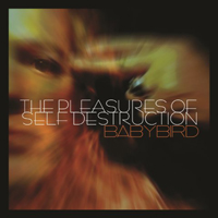 Babybird - The Pleasures of Self Destruction