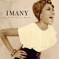 Imany - You Will Never Know (Remixes) [Single]