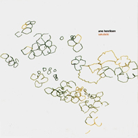 Henriksen, Arve - Arve Henriksen - Solidification (CD 1: Sakuteiki, 2001)