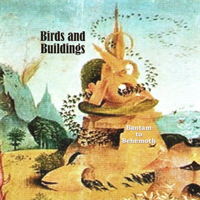 Birds & Buildings - Bantom To Behemoth