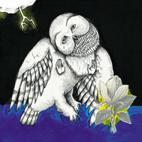 Jason Molina - Magnolia Electric Co.