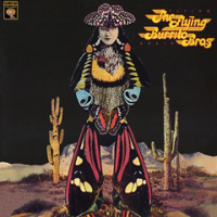 Flying Burrito Brothers - Flying Again