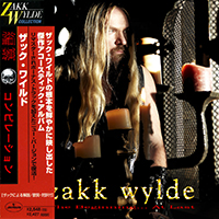 Zakk Wylde - The Beginning... At Last (CD 2)