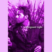 Pregnant Light - Domination Harmony (EP)