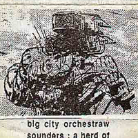 Big City Orchestra - Sounders; A Herd Of