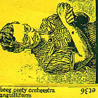 Big City Orchestra - Anguilliform