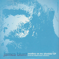 James Blunt - Monkey On My Shoulder