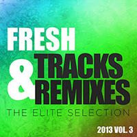 Touchstone (GBR, Middlesbrough) - Fresh tracks & remixes - The elite selection 2013 vol. 3: First encounter (Single)