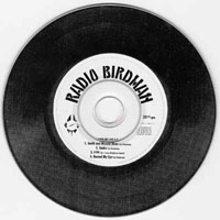 Radio Birdman - Burn My Eye (Remastered 1995)