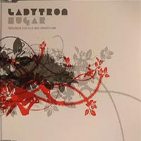 Ladytron - Nu De Det Sommar Igen