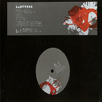 Ladytron - Destroy Everything You Touch (12'' Grey Promo)