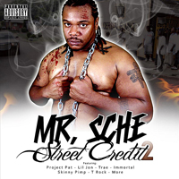 Mr. Sche - Street Credit 2