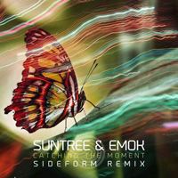 Suntree - Catching the Moment (Sideform Remix) (Single)