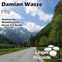 Damian Wasse - I Try