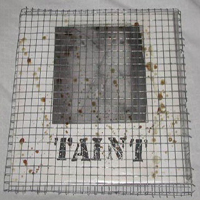 Taint (USA) - Indecent Liberties