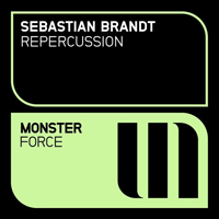 Brandt, Sebastian - Repercussion