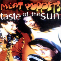 Meat Puppets - Taste Of The Sun (Promo EP)