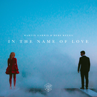 Garritsen, Martijn - In The Name Of Love (Single)