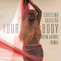 Garritsen, Martijn - Your Body (Martin Garrix Edit) [Single]