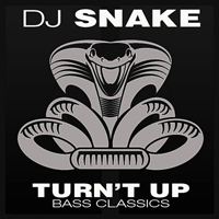 DJ Snake - Turn't Up
