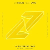 DJ Snake - A Different Way (Bro Safari & Etc!etc! Remix) (Single)