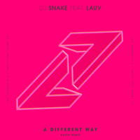 DJ Snake - A Different Way (Kayzo Remix) (Single)