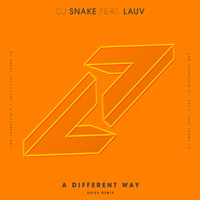 DJ Snake - A Different Way (Noizu Remix) (Single)