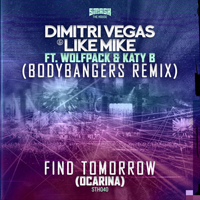 Dimitri Vegas & Like Mike - Find Tomorrow (Ocarina)