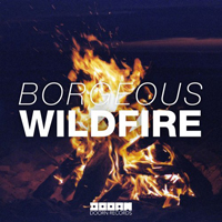 Borgeous - Wildfire