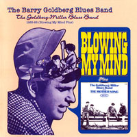 Goldberg, Barry - 1965-66 (Blowing My Mind Plus) - Best of...