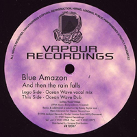 Blue Amazon - And Then The Rain Falls